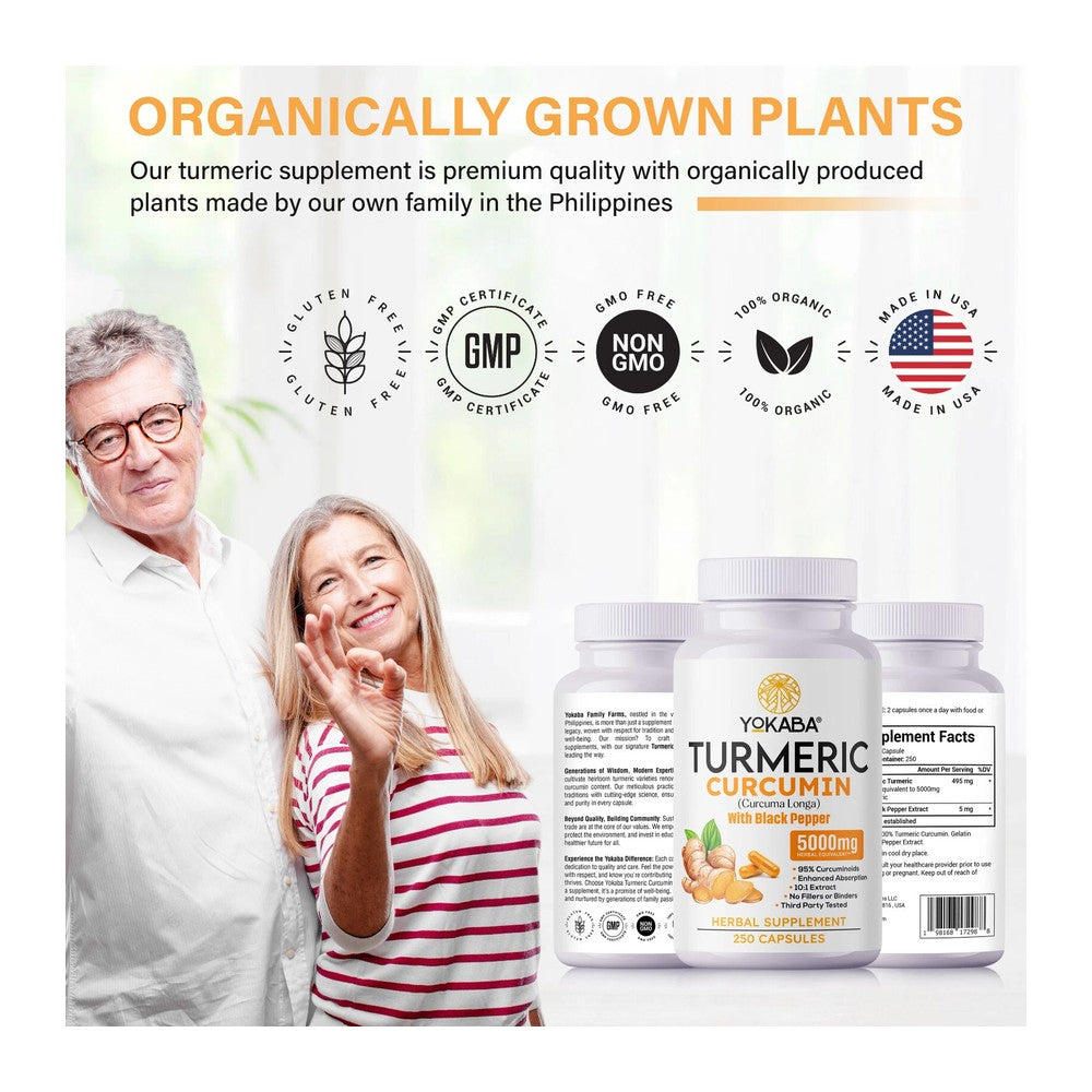 Turmeric Curcumin