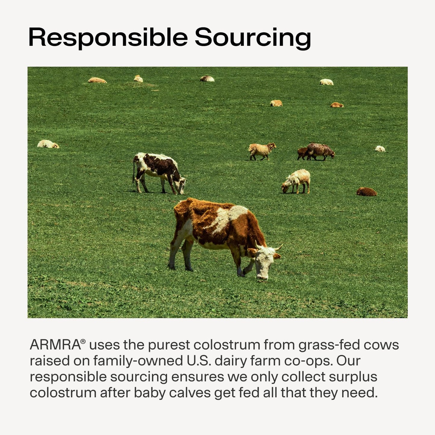 ARMRA Colostrum Powder