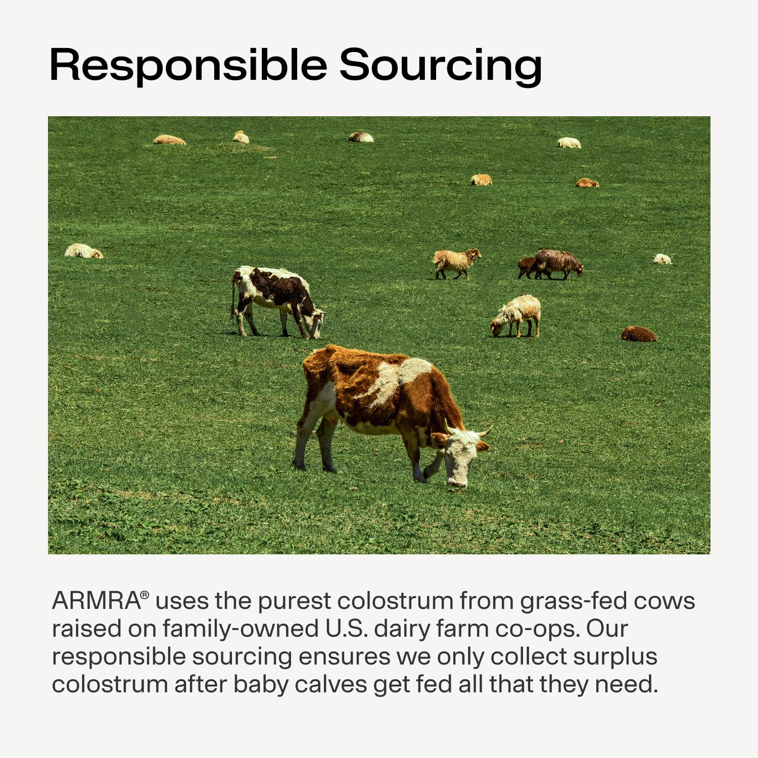 ARMRA Colostrum Powder